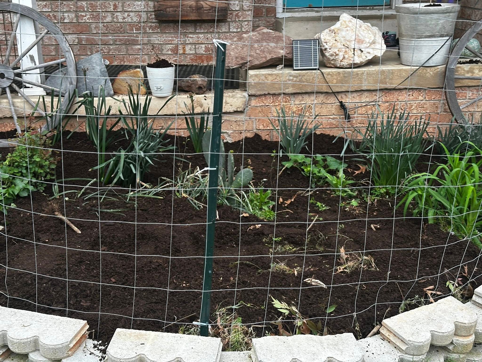 Seasonal planting and landscaping in Arkansas