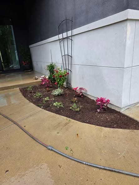 Completed yard cleanup in Central Arkansas