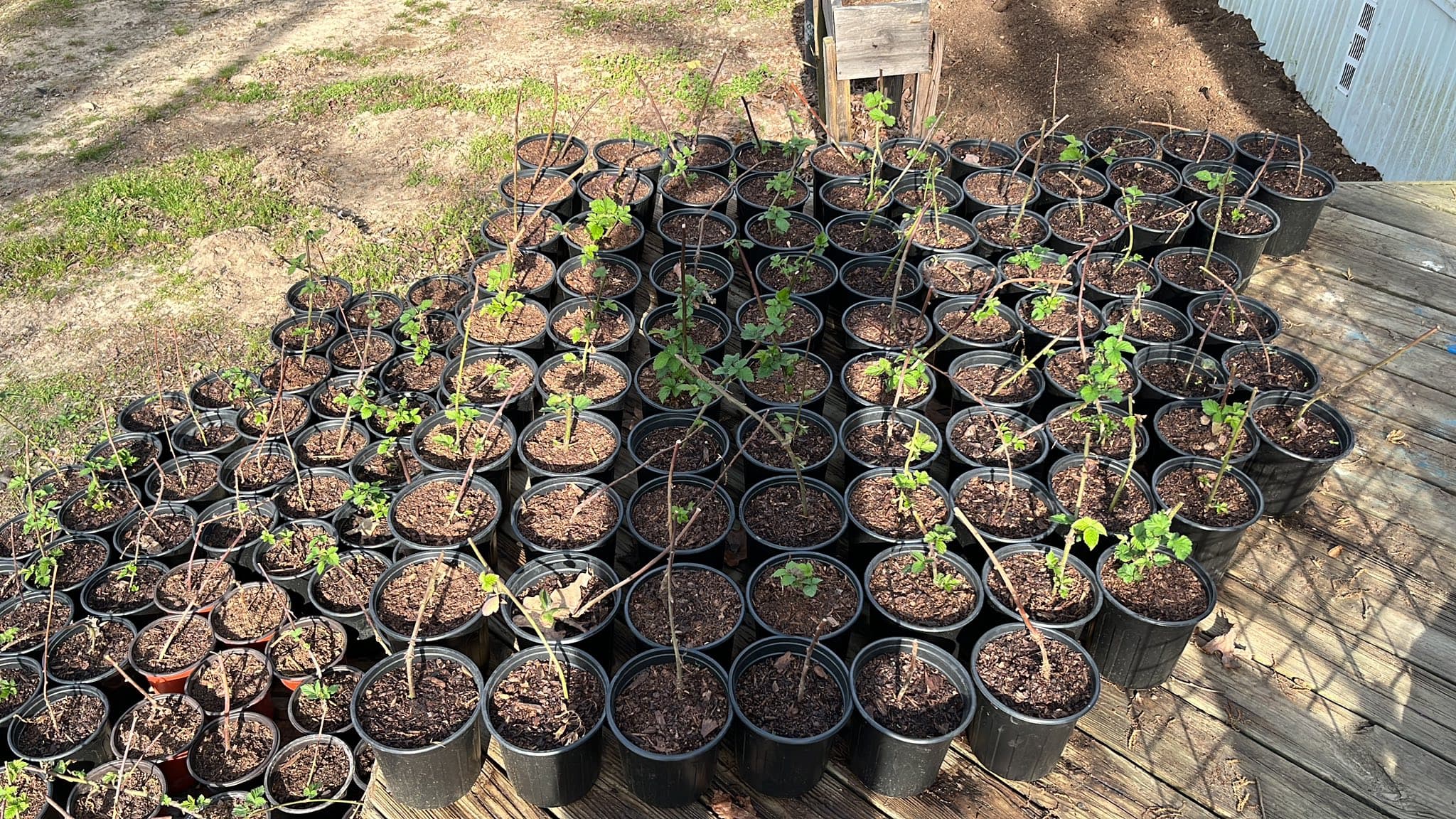 Garden supplies in Hot Springs AR