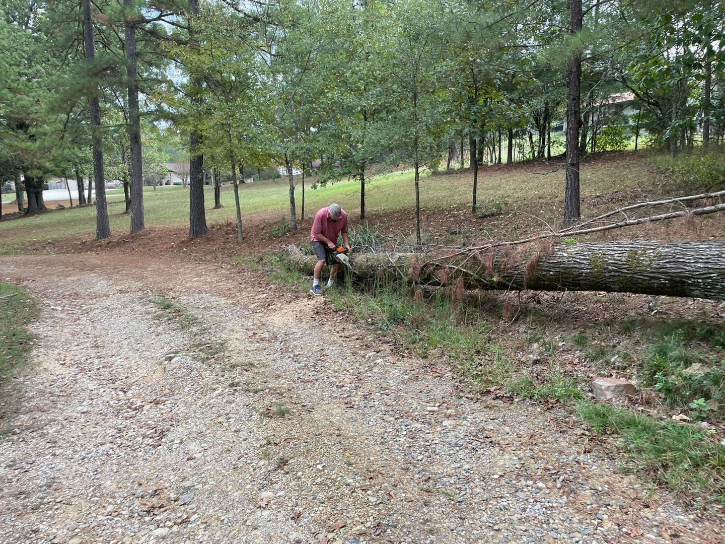 Land clearing and brush cleanup in Hot Springs AR