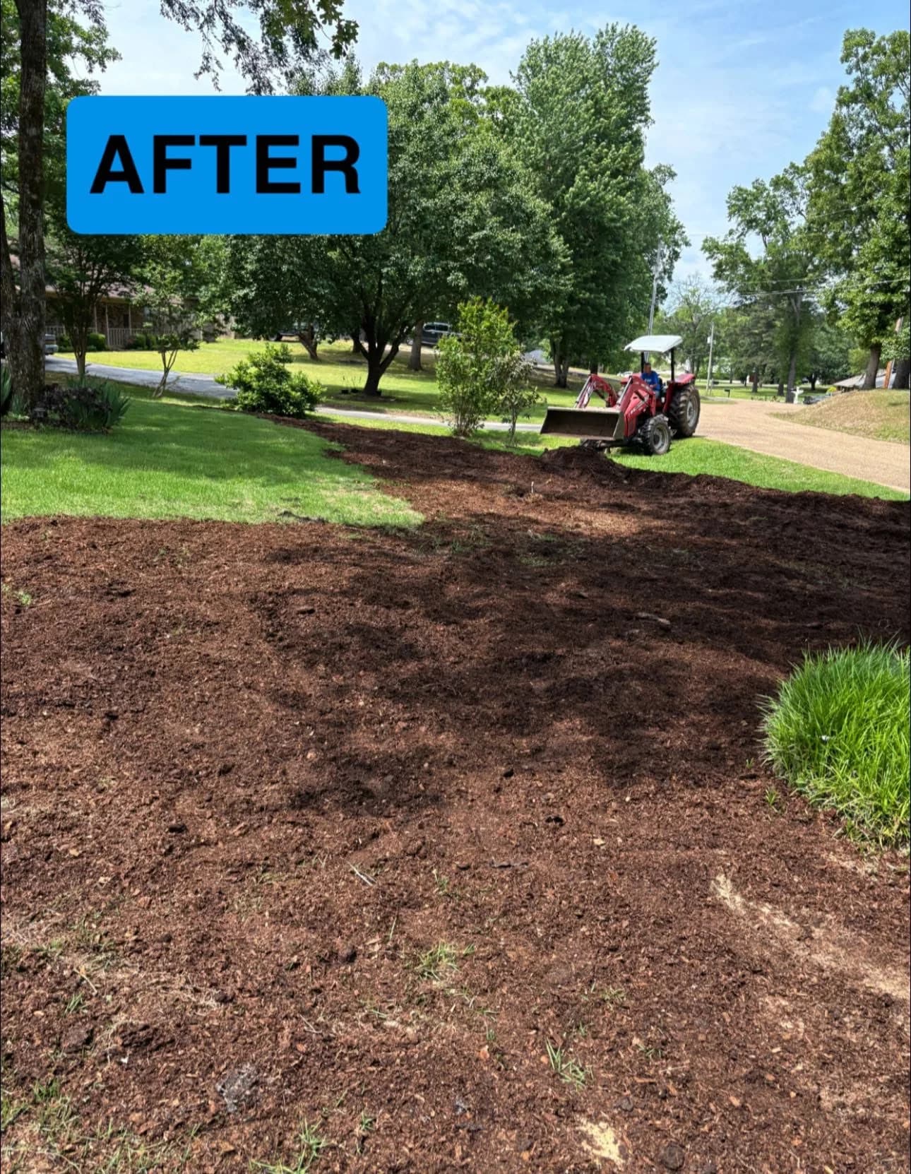 Yard cleanup and hauling in Hot Springs AR