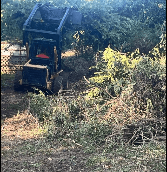 Tree removal and debris cleanup in Hot Springs AR